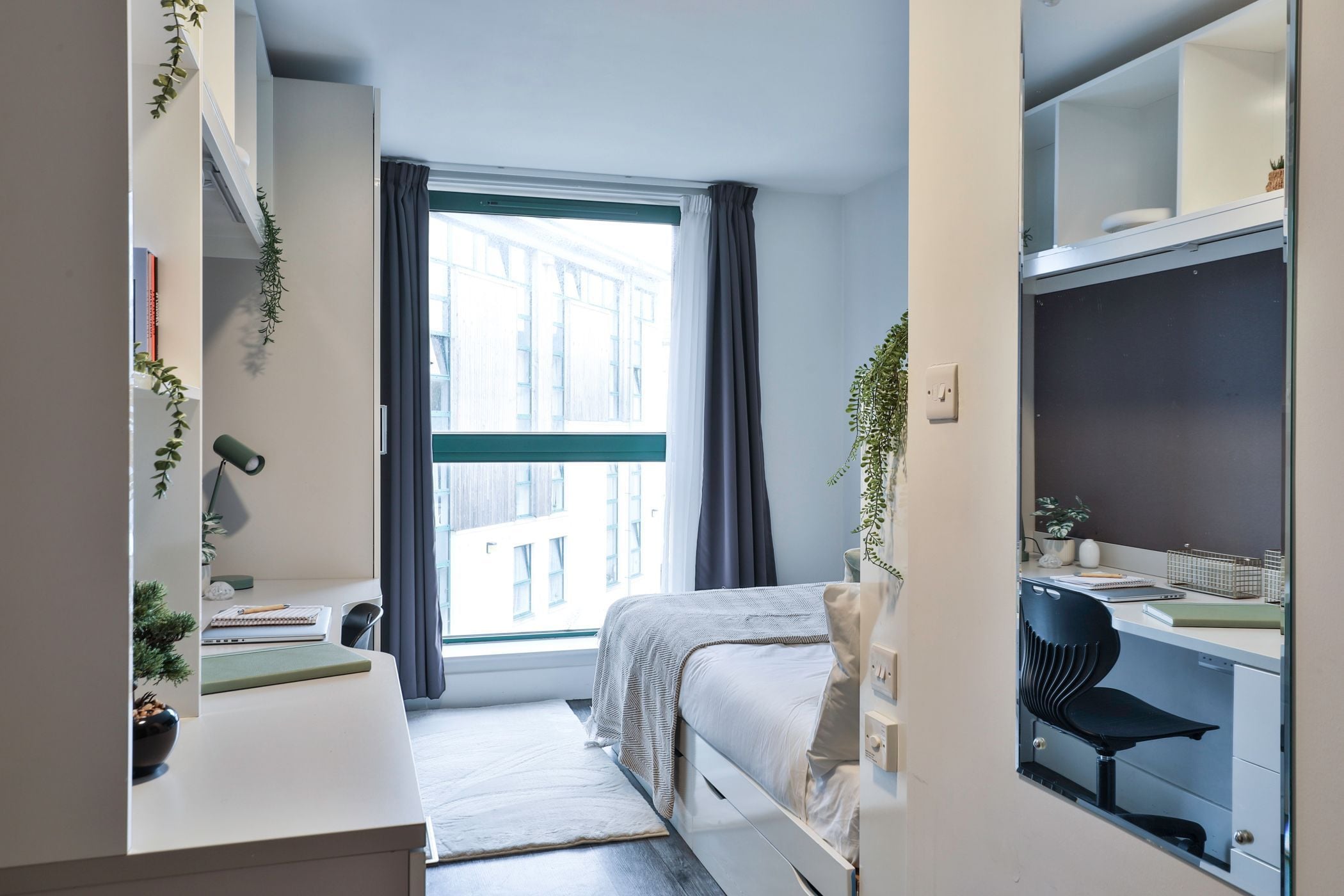 Classic Shared Apartment